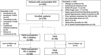 Efficacy and Safety of TACE Combined With Lenvatinib Plus PD-1 Inhibitors Compared With TACE Alone for Unresectable Hepatocellular Carcinoma Patients: A Prospective Cohort Study